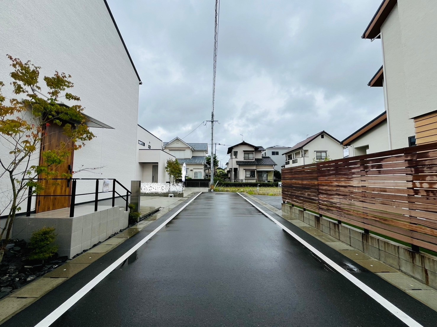 写真12