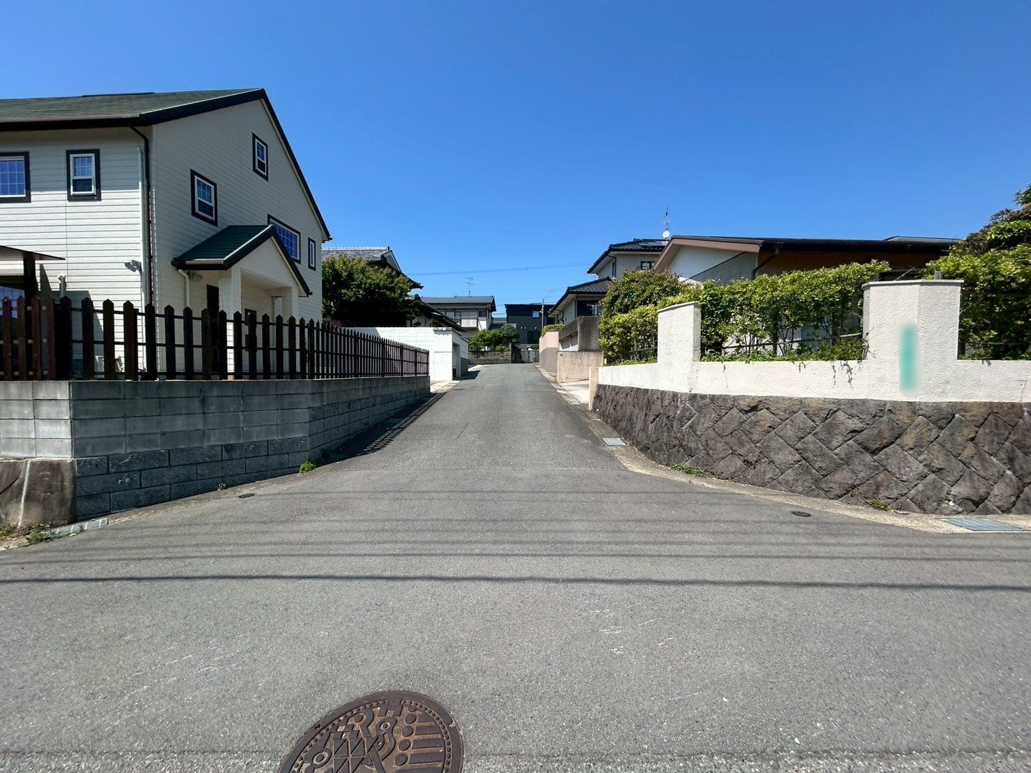 写真11