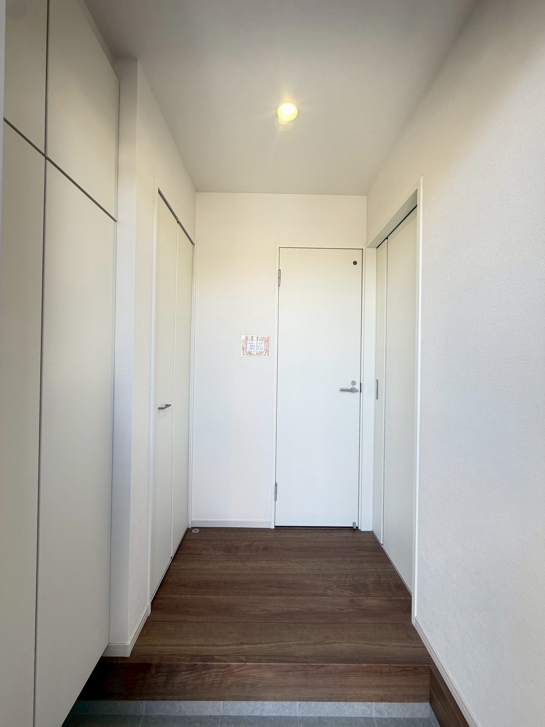 写真11